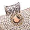 Load image into Gallery viewer, Chloe crystal clutch - accessories